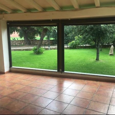 סאן תאודורו Hotel La Palma מראה חיצוני תמונה